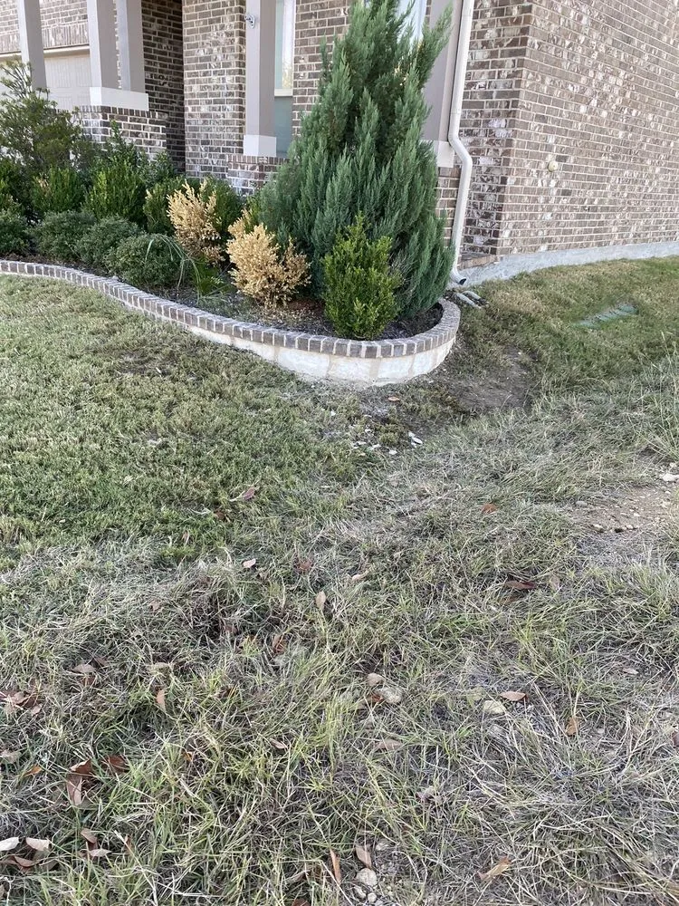 Custom landscaping services in The Colony, TX by Cedro Landscape