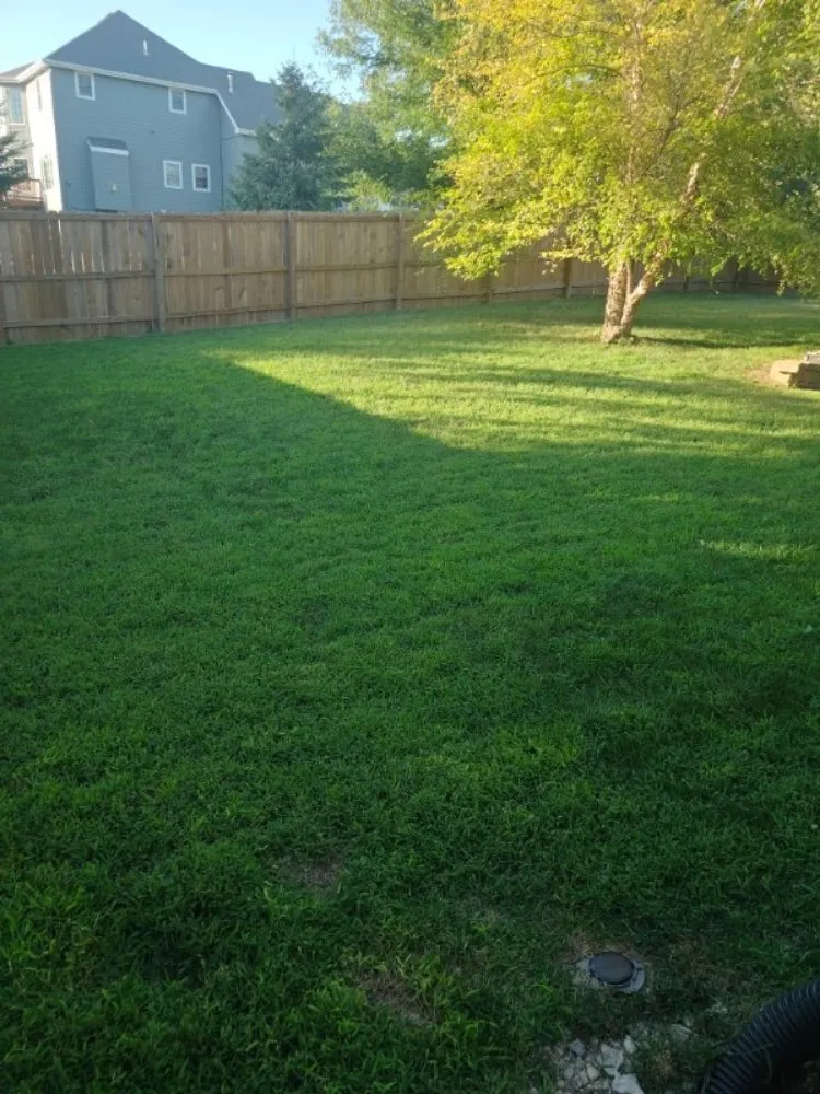 Professional yard cleanup service experts serving Wichita, KS - Ced's Enterprises
