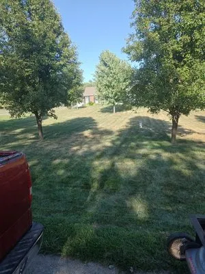 Ced's Enterprises Logo