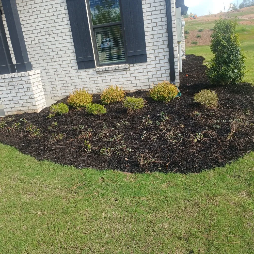 Reliable landscaping services for outdoor upgrades in Birmingham, AL by Ceds Lawn Care