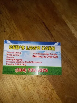 Ced's Lawn Care