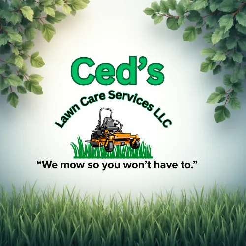 Local yard maintenance for year-round maintenance in League City, TX by Ced's Lawn Care Service