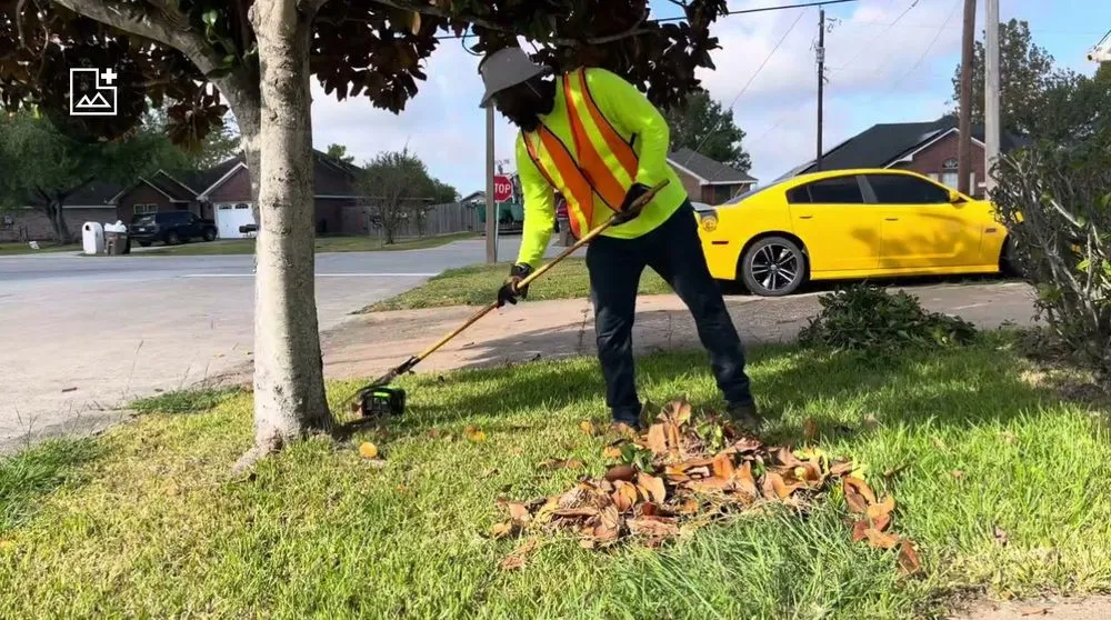 Affordable yard maintenance experts serving League City, TX - Ced's Lawn Care Service