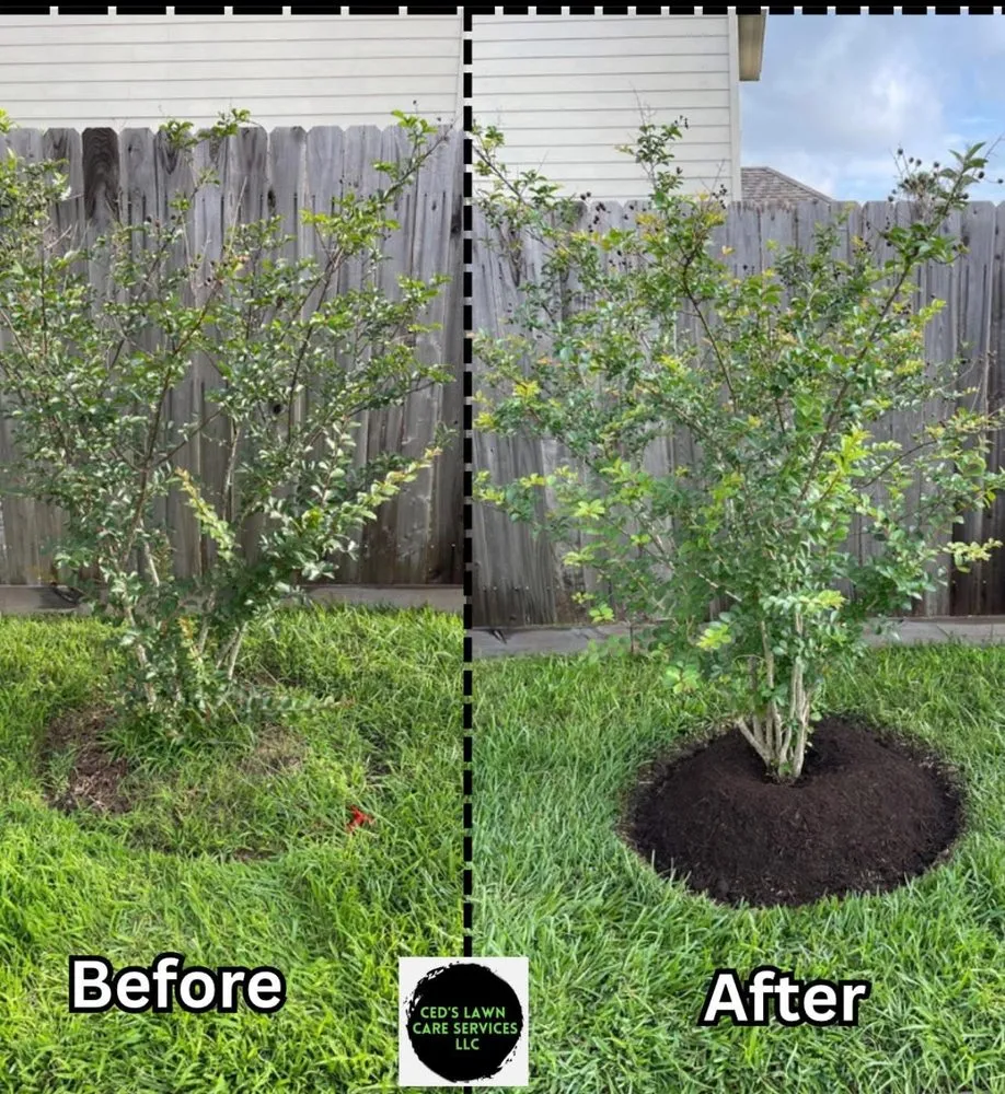 Trusted lawn mowing service in League City, TX - Ced's Lawn Care Service