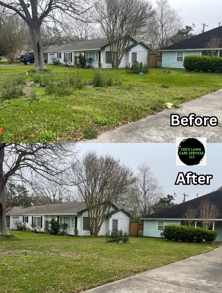 Professional yard cleanup service in League City, TX by Ced's Lawn Care Service