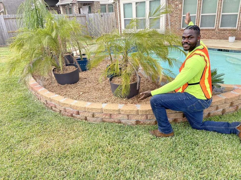 Affordable lawn care service for homes across League City, TX - Ced's Lawn Care Service