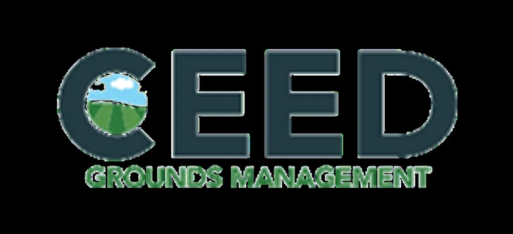 Professional yard cleanup service in Quinton, VA by Ceed Grounds Management