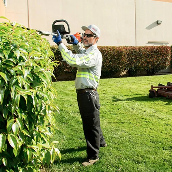 Professional landscape design in Canton, GA - Cefas Landscaping & Removal