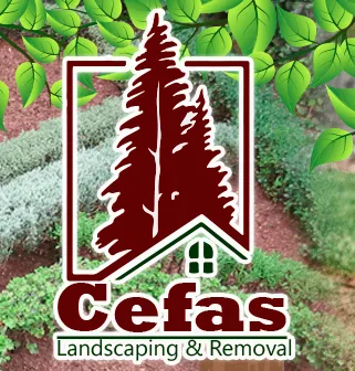 Custom lawn mowing service in Canton, GA - Cefas Landscaping & Removal
