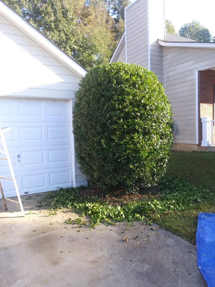 Affordable outdoor landscaping in Canton, GA - Cefas Landscaping & Removal