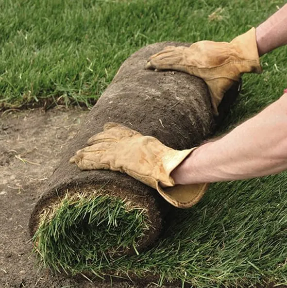 Top-rated garden landscaping near you in Canton, GA by Cefas Landscaping & Removal