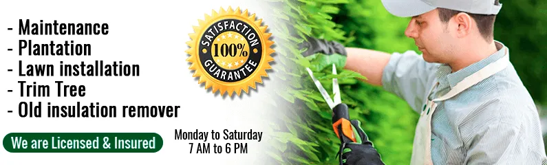 Top-rated lawn care service with custom design in Canton, GA by Cefas Landscaping & Removal