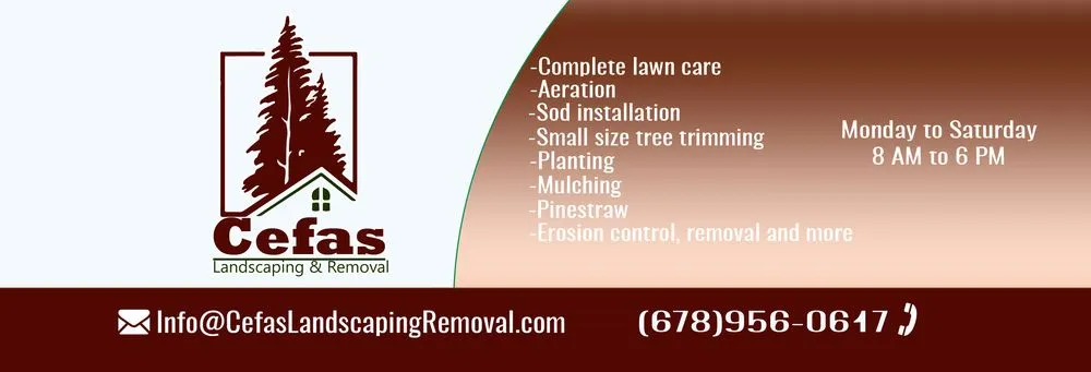 Local yard cleanup service experts serving Canton, GA - Cefas Landscaping & Removal