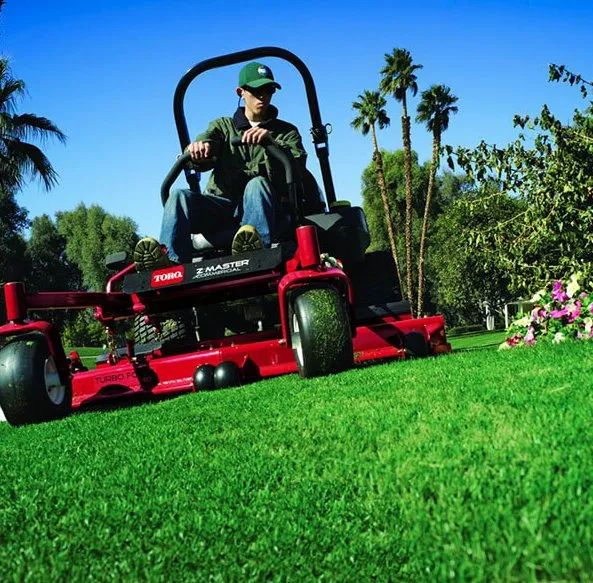 Reliable garden landscaping in Canton, GA - Cefas Landscaping & Removal