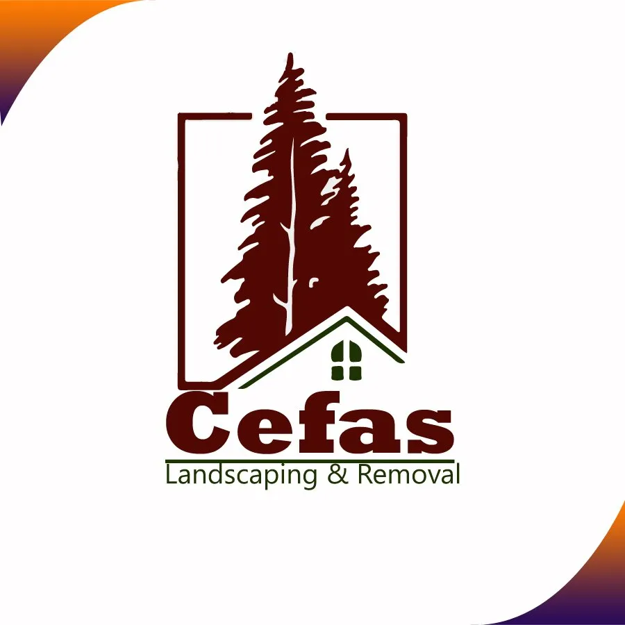Affordable landscape design experts serving Canton, GA - Cefas Landscaping & Removal