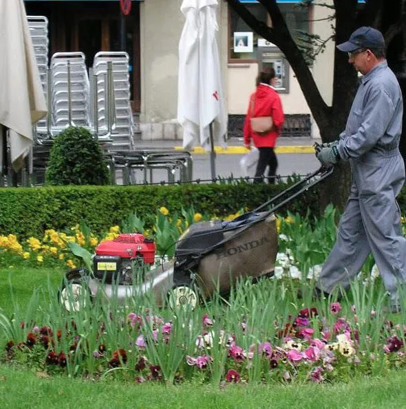 Top-rated outdoor landscaping for outdoor upgrades in Canton, GA by Cefas Landscaping & Removal