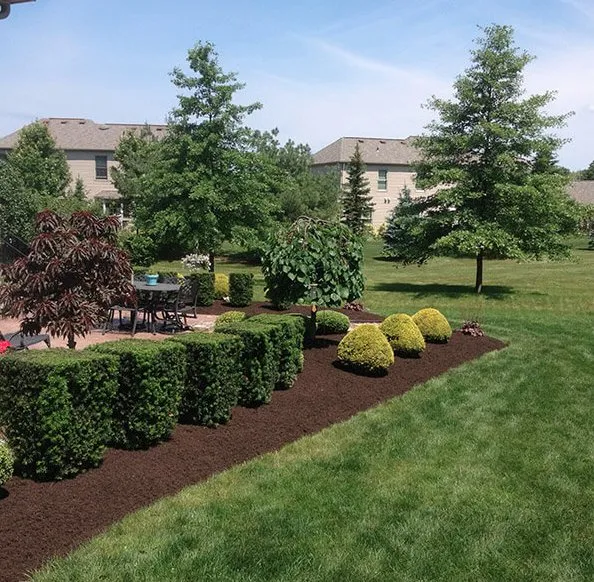 Expert yard maintenance in Canton, GA - Cefas Landscaping & Removal