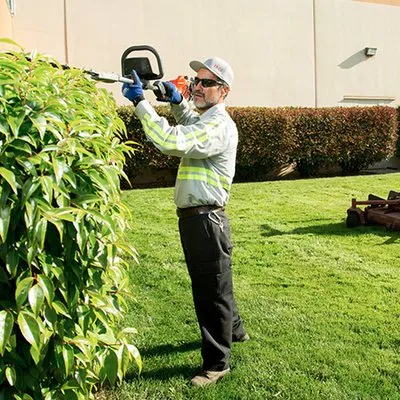 Cefas Landscaping & Removal Logo