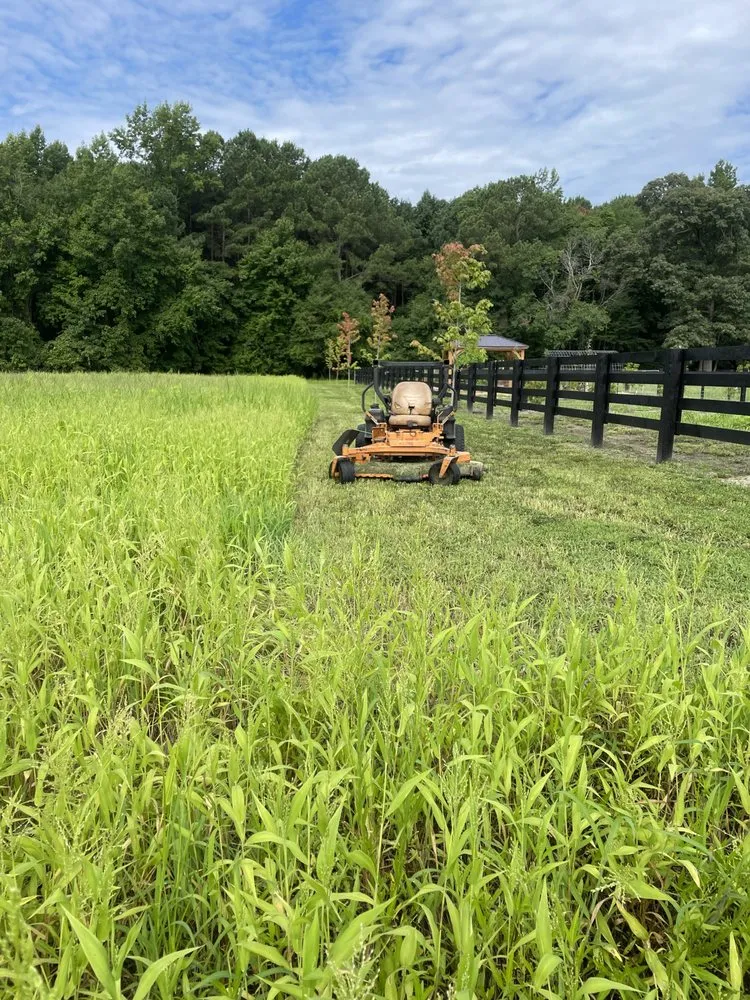 Expert lawn mowing service for beautiful yards across Rocky Mount, NC - Cejavier Landscape Maintenance