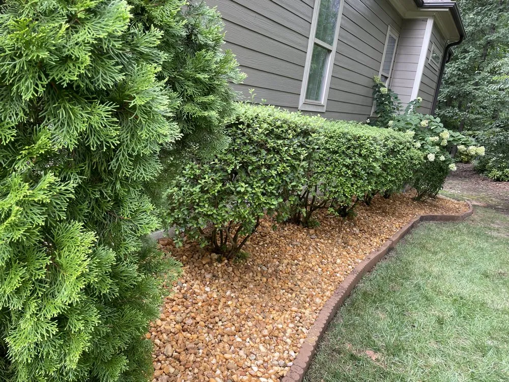 Trusted garden landscaping near you in Rocky Mount, NC by Cejavier Landscape Maintenance