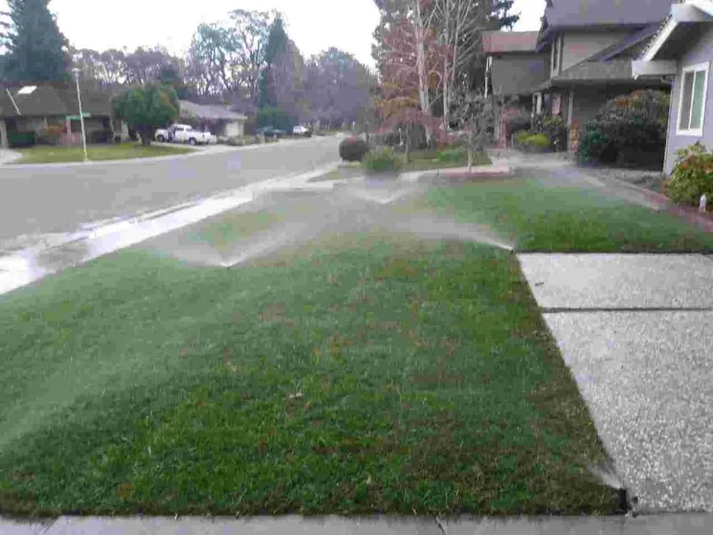 Reliable yard cleanup service in Sacramento, CA by Celaya Landscaping Services