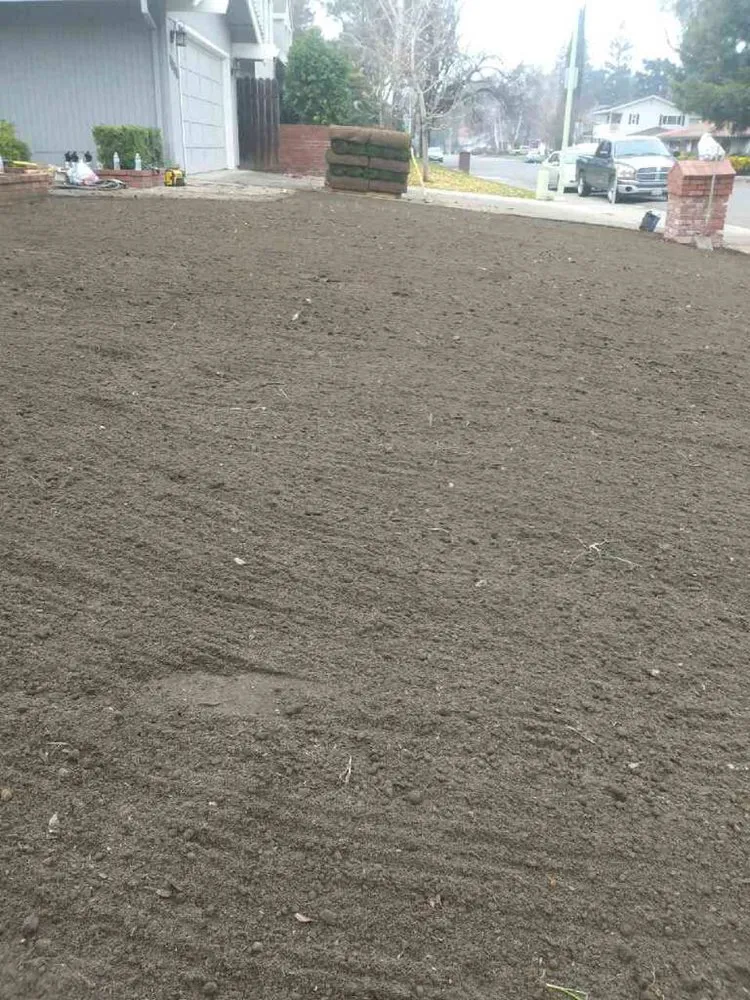 Top-rated landscaping services in Sacramento, CA - Celaya Landscaping Services