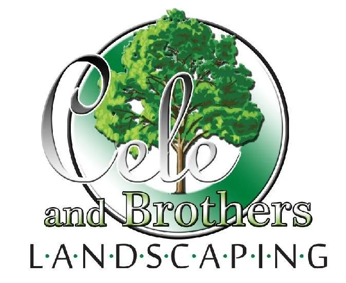 Reliable lawn mowing service for beautiful yards in Grayslake, IL by Cele & Brothers Landscaping