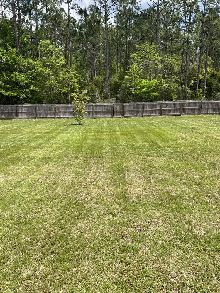 Expert lawn care service in D'iberville, MS by Celebrity Kutz