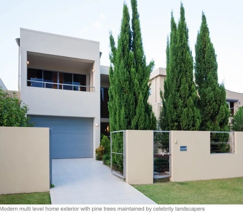 Professional yard maintenance for homes across Morrow, GA - Celebrity Landscapers