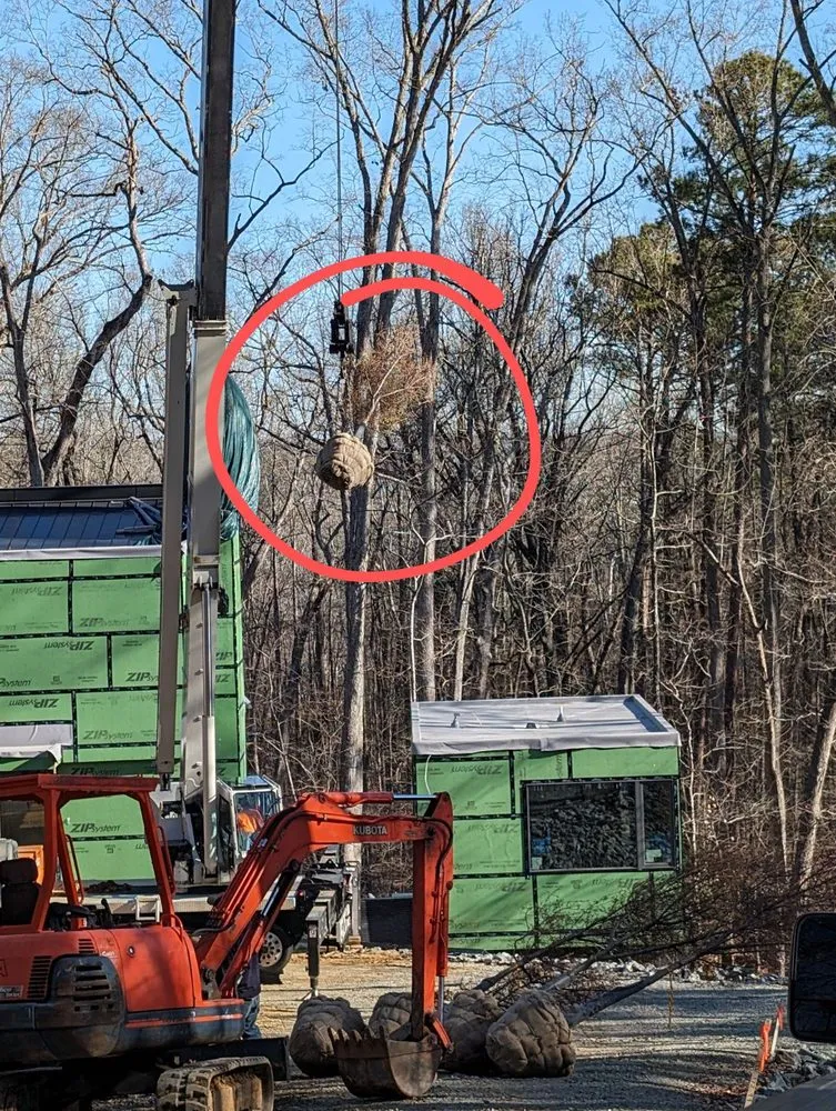 Expert landscaping services experts serving Chapel Hill, NC - Celestial Landscaping