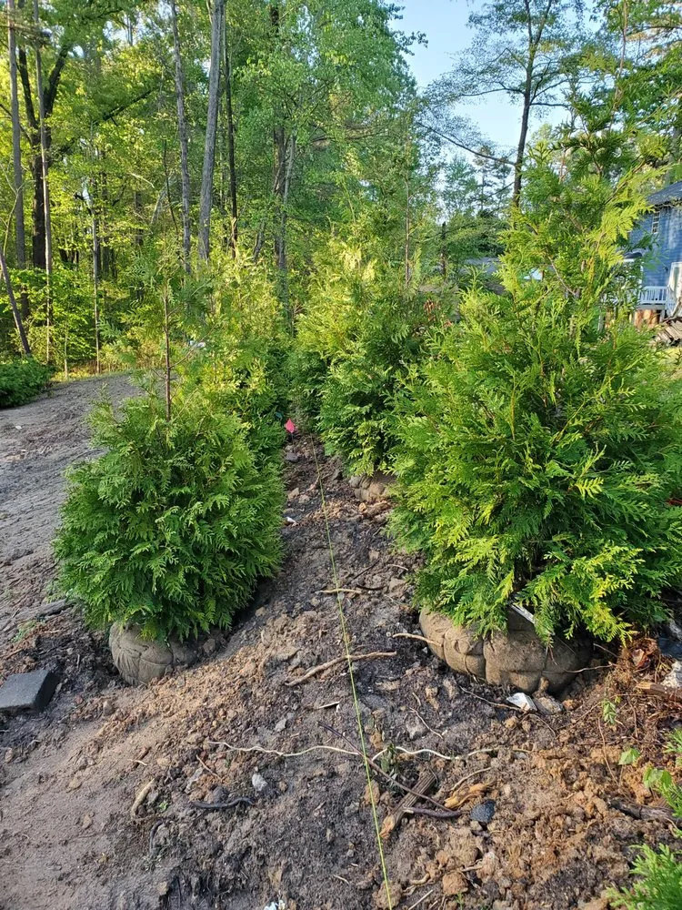 Trusted outdoor landscaping in Chapel Hill, NC by Celestial Landscaping