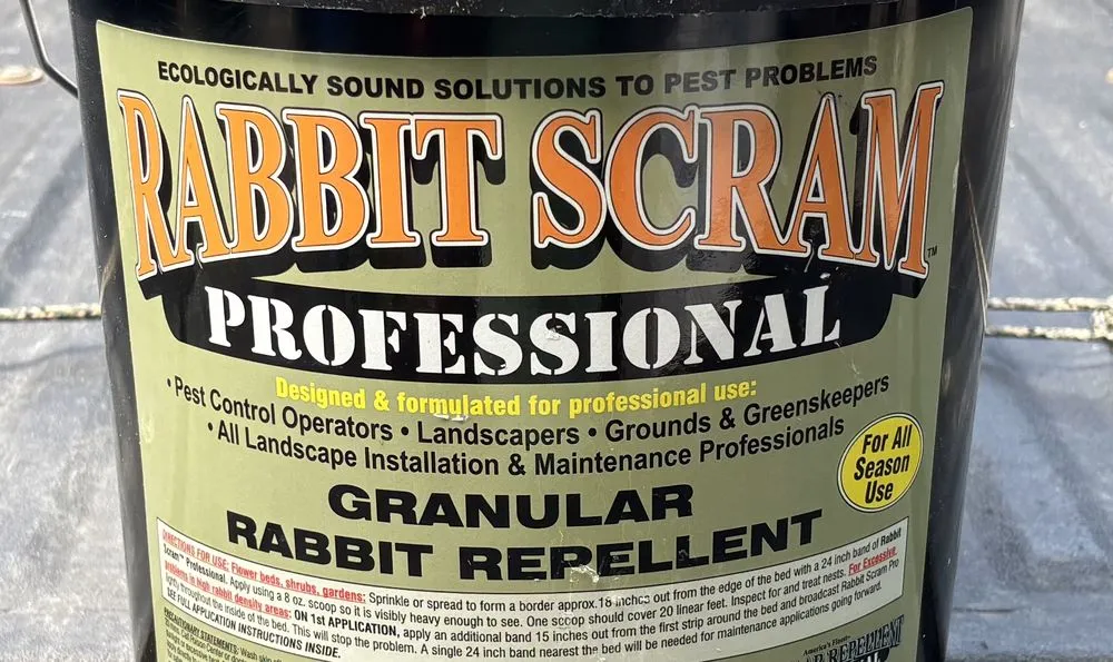 Trusted lawn mowing service near you across Celina, TX - Celina Home Services