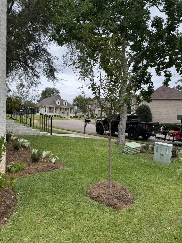 Local lawn care service in Dothan, AL - Celis Lawn Care