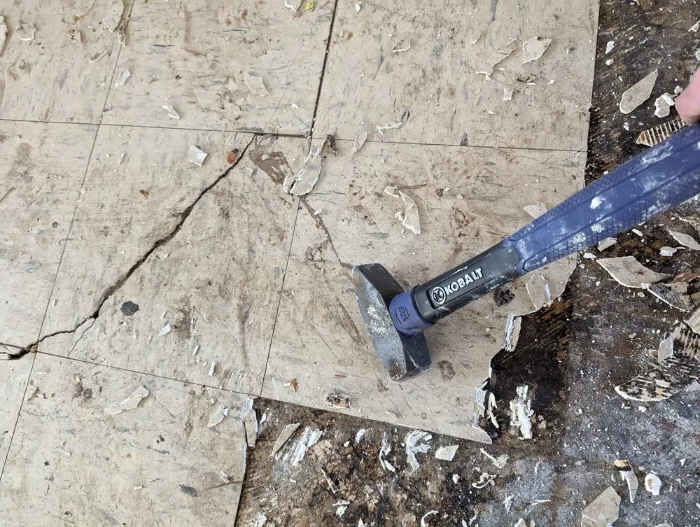 Custom yard cleanup service for beautiful yards across Shreveport, LA - Celli's Construction