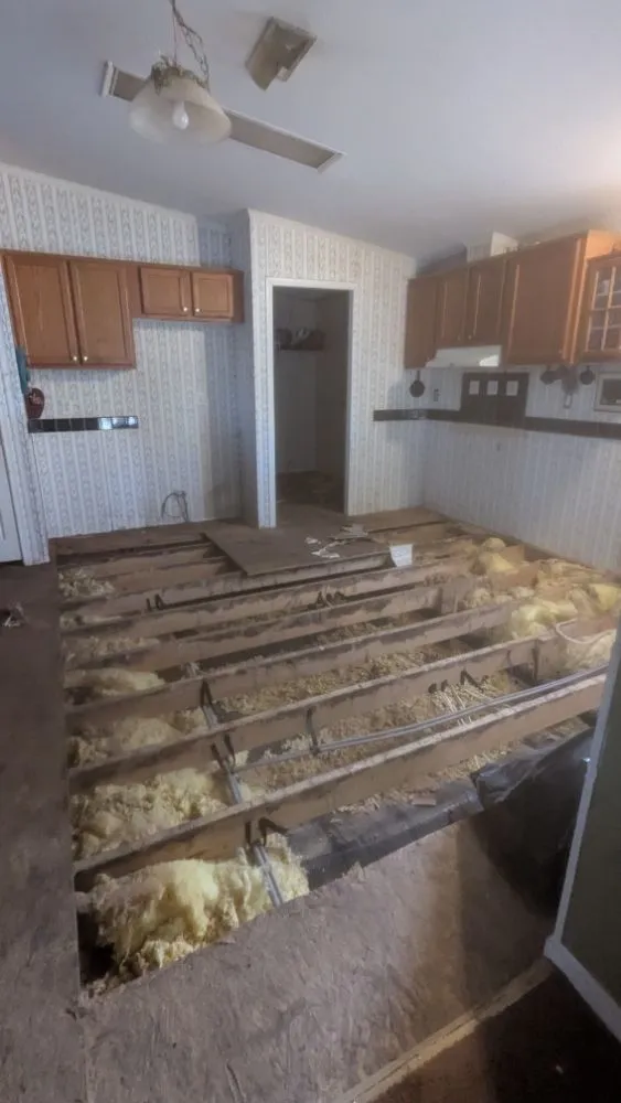 Top-rated lawn care service experts serving Shreveport, LA - Celli's Construction