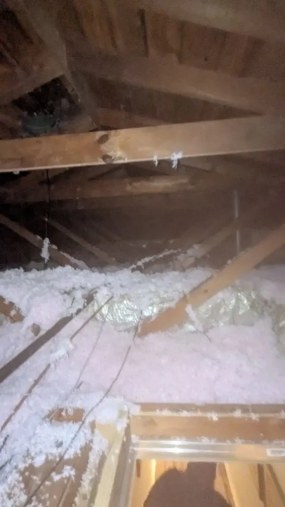 Local garden landscaping for beautiful yards across Shreveport, LA - Celli's Construction