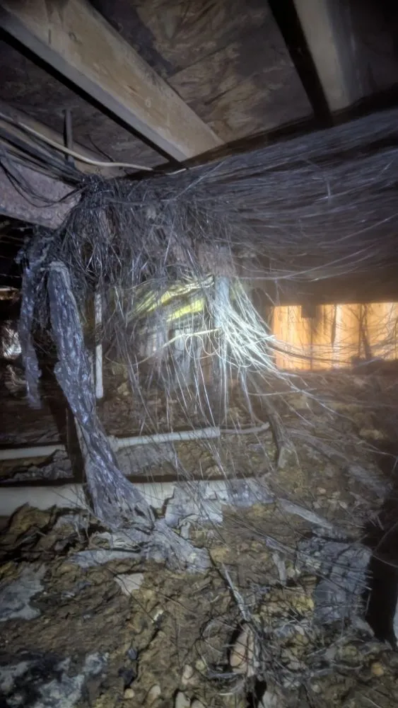 Reliable landscape design for residential properties across Shreveport, LA - Celli's Construction