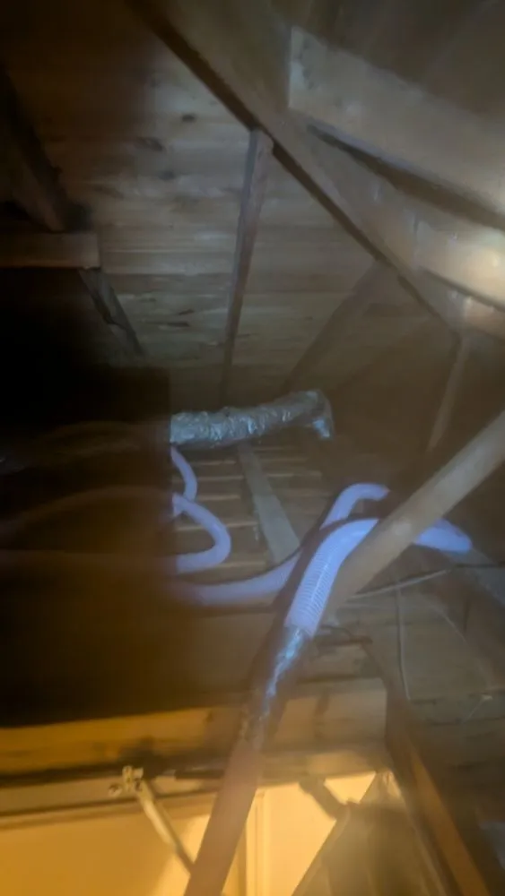 Top-rated yard maintenance in Shreveport, LA - Celli's Construction