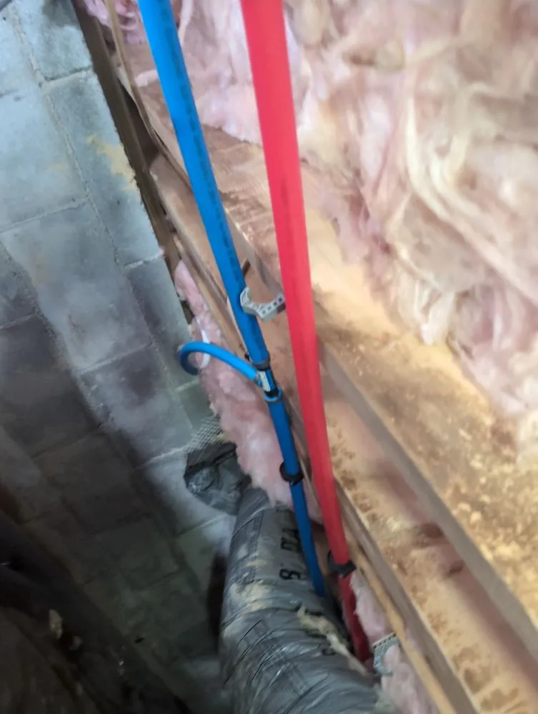 Local yard maintenance experts serving Knightdale, NC - Celtic Contracting Consultants