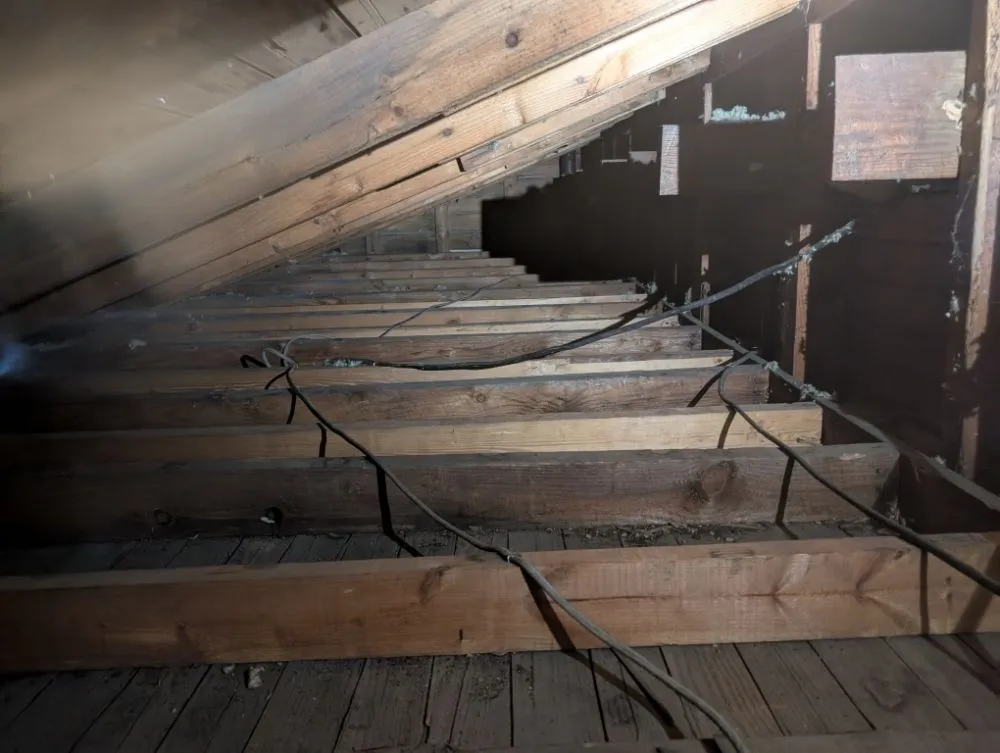 Affordable outdoor landscaping for year-round maintenance in Knightdale, NC by Celtic Contracting Consultants