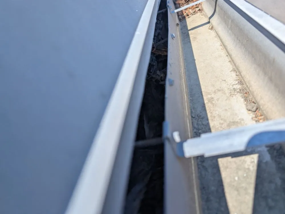 Professional landscaping services for year-round maintenance across Knightdale, NC - Celtic Contracting Consultants