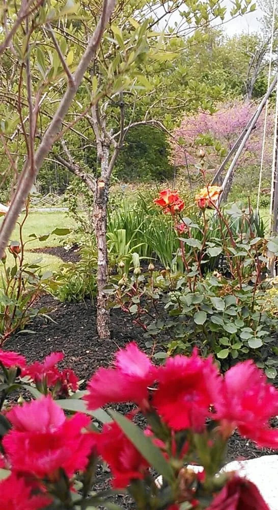 Professional residential landscaping for beautiful yards in South Berwick, ME by Celtic Creations Landscape Services