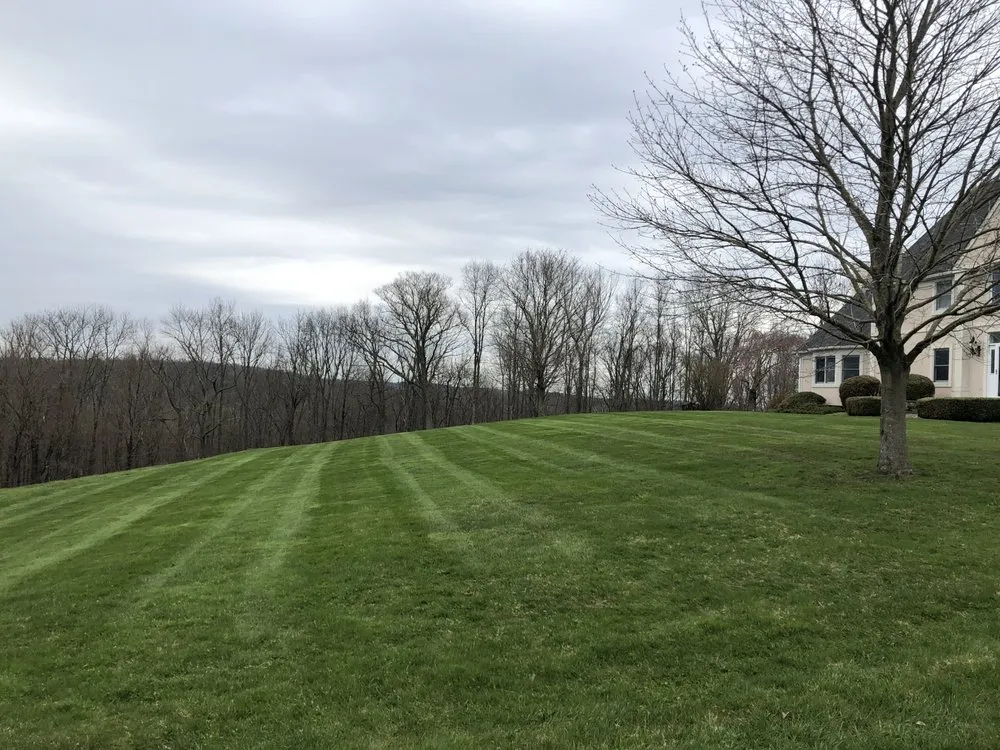 Trusted yard cleanup service experts serving Honesdale, PA - Celtic Greens Lawn Service