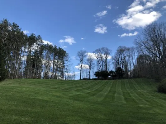 Celtic Greens Lawn Service