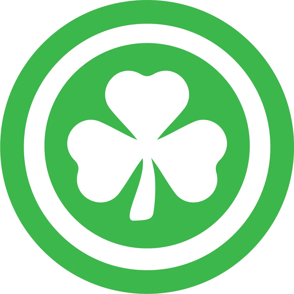 Expert yard cleanup service for homes in Burr Ridge, IL by Celtic Home Services