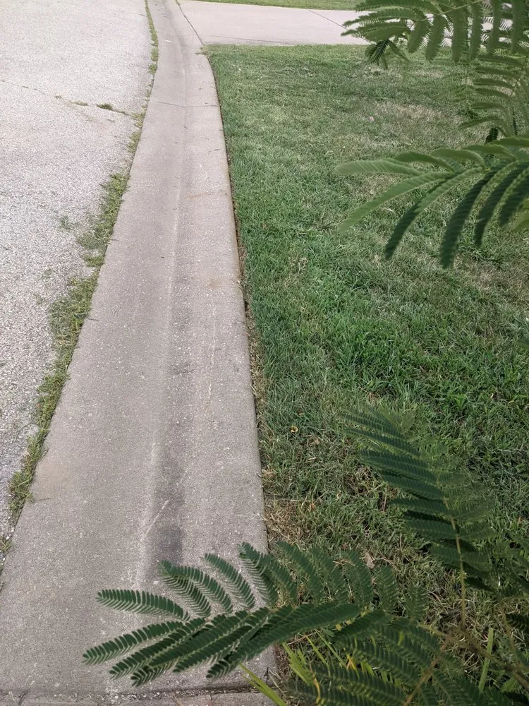 Professional landscape design in Wentzville, MO by Celtic Landscaping