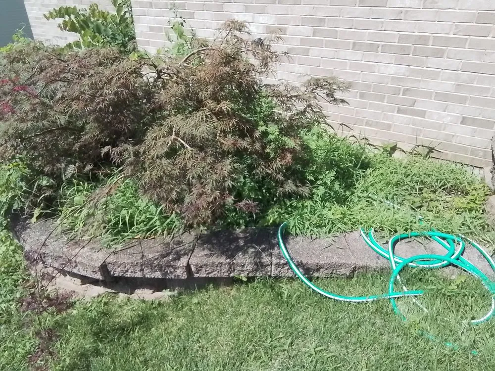 Reliable garden landscaping experts serving Wentzville, MO - Celtic Landscaping