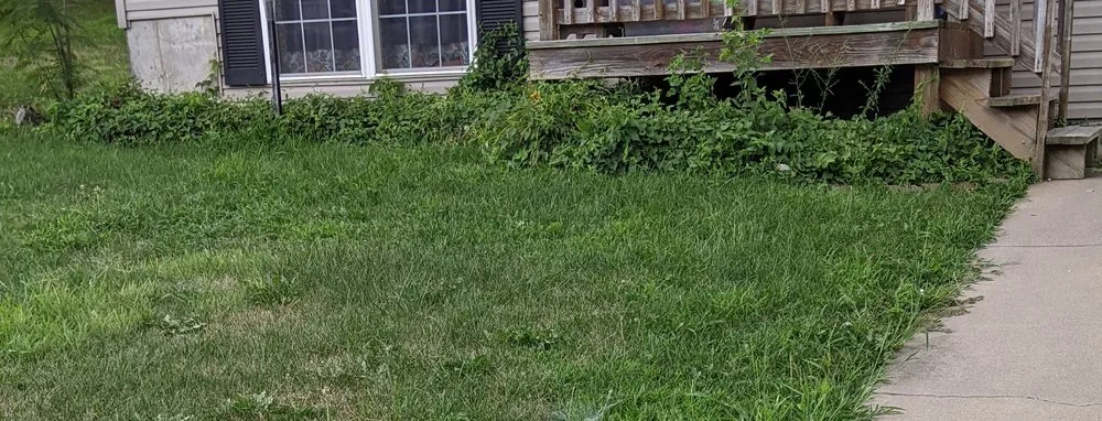 Professional outdoor landscaping experts serving Wentzville, MO - Celtic Landscaping