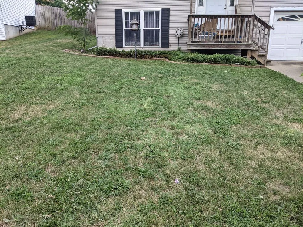 Professional landscaping services with custom design in Wentzville, MO by Celtic Landscaping