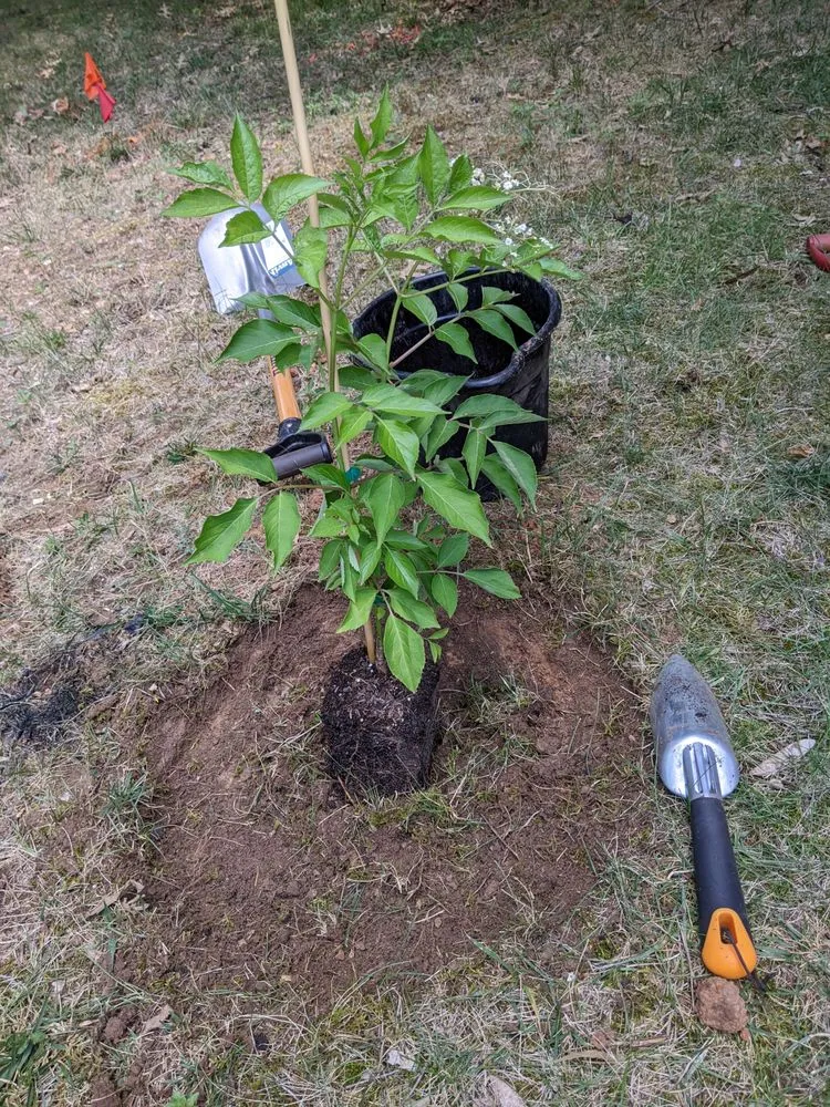 Custom landscape design for residential properties in Wentzville, MO by Celtic Landscaping